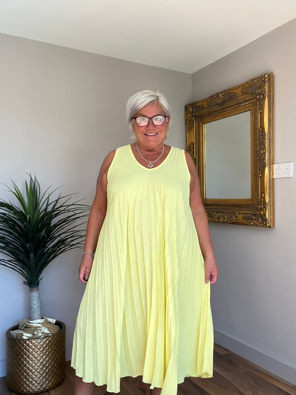 Suzi Sleeveless Pleated Dress