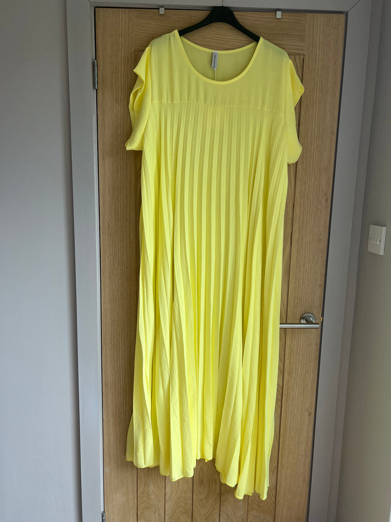 Polly Pleated Dress